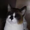 fofuraxxyty