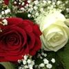 user661553040278