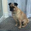 charlie_mckeogh