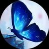 butterflyam25
