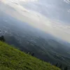 jtututurh