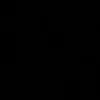 __silva202