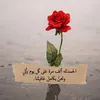 saloosha43