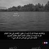 user7855813697325