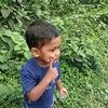 mahadevlslamjoy