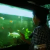 sereia_blackwell