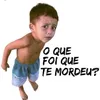 brasileiro355