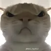 deptraicuto5