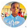 leprince008