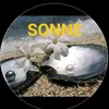sonne7598