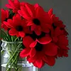 user7447107926145