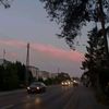 violette_blr
