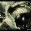 7flwrju_