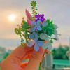 mariya__264