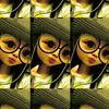 cipapawww_0208