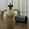 w1lsonv1e