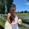 ari.skjz