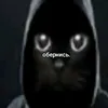 frimendoked_497633