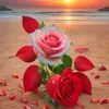 ali__ty65