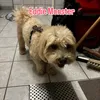 simonmoller3
