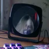 kuuusmeee