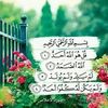 latifa.hamdi81