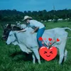 nadirrh22