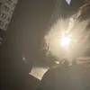 la_faineante