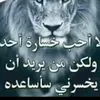 user5114931677690