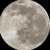 kposm813