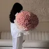 danoshaa21