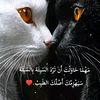 amiramir4728