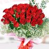 ayse.gedikli