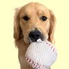goldenjeter