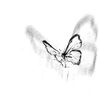 __.seele.___