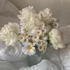 desita_0