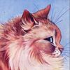 fawnwhisker