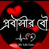 arishaa311