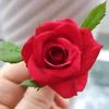 rose34091