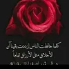 user3693398175248