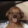 kupalkaba_779