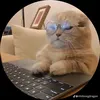 wuyxcute