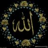 user9231058115029