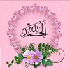 user80jlj24