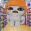 paldi_dhoted