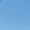 andreanfarm0