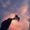phuong_duong0490