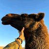 فرج ٱبوحرباوي