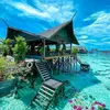 hosam96833