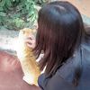 _luluum